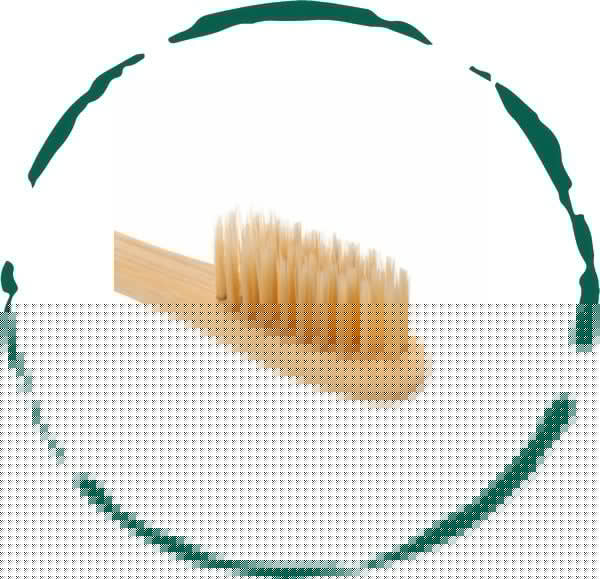 Bamboo Toothbrush. Soft, Eco-Friendly