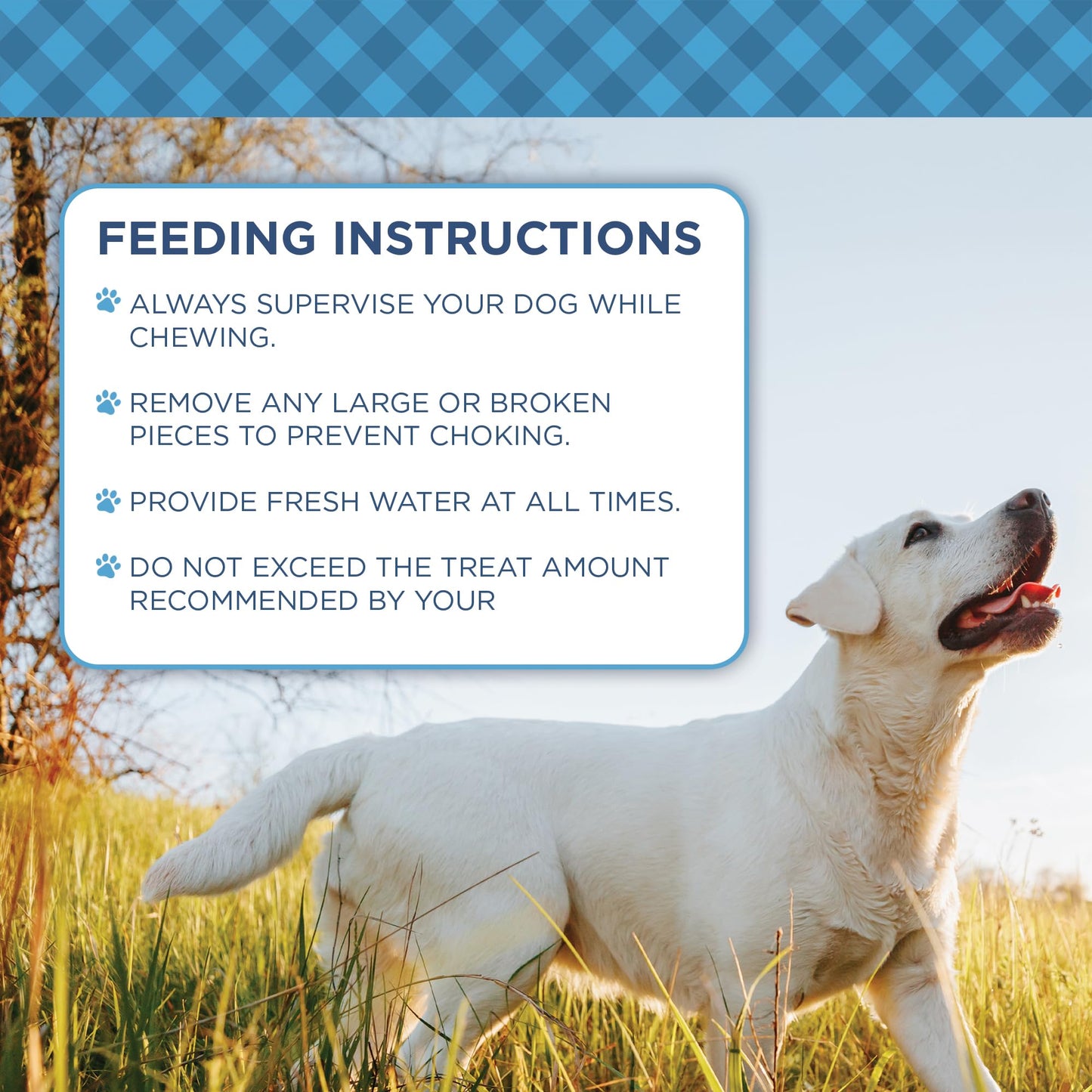 Country Living Natural Cow Ears Dog Chews – 10 Count Bag – All-Natural, Single-Ingredient, Long-Lasting Dog Chews – High-Protein, Low-Fat, Rawhide-Free – Supports Dental Health