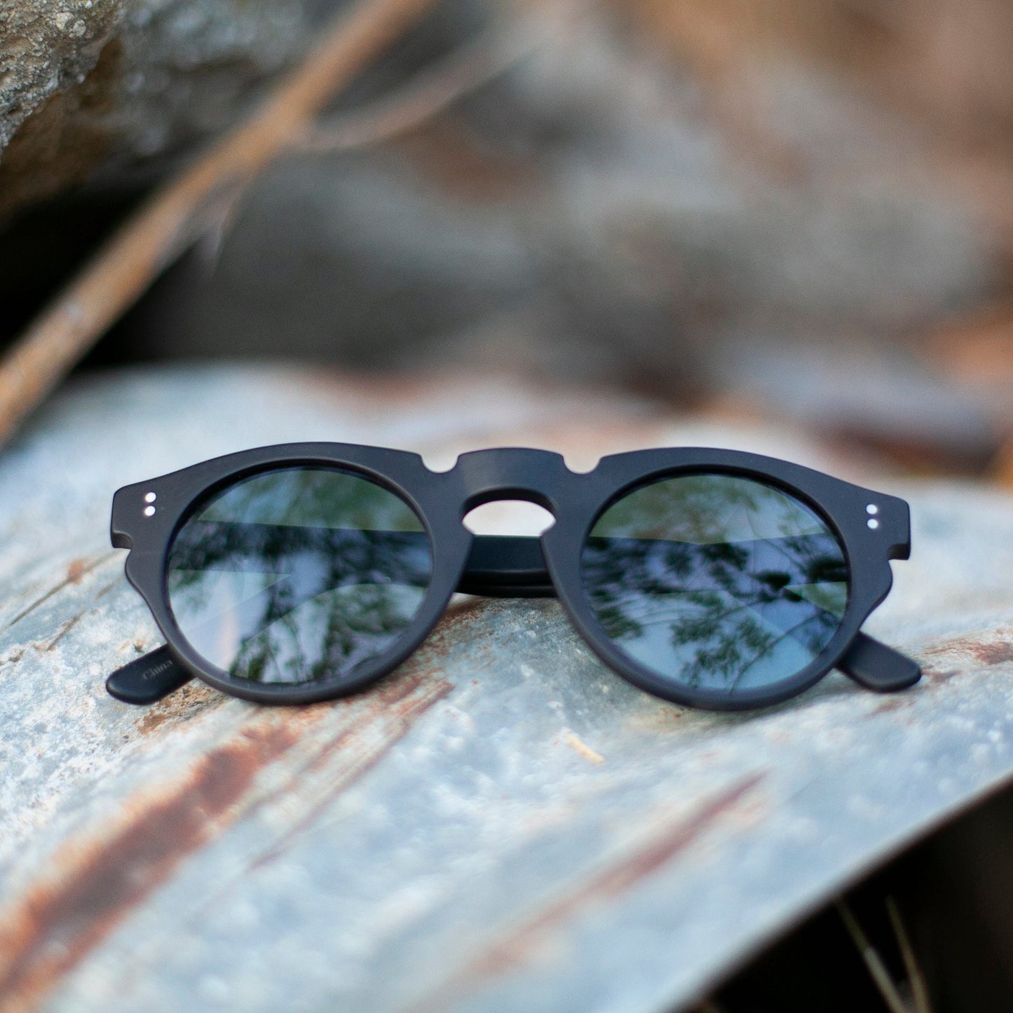 Polarized Round Edge Sunglass - Tisch
