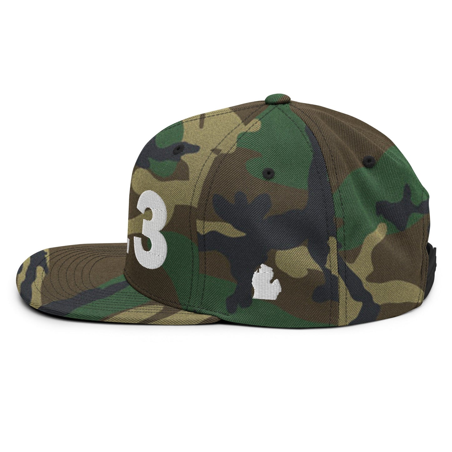313 Area Code Snapback Hat