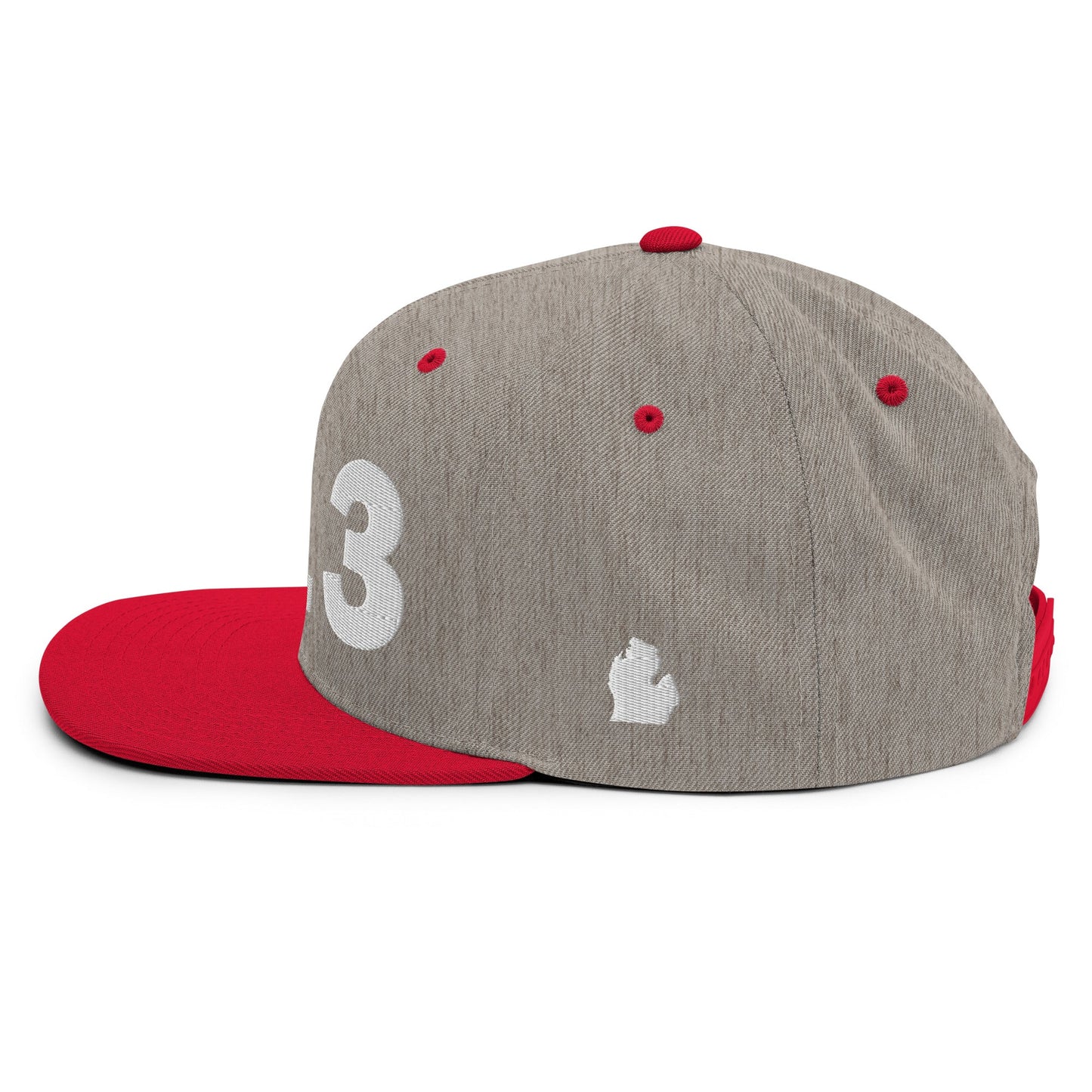 313 Area Code Snapback Hat