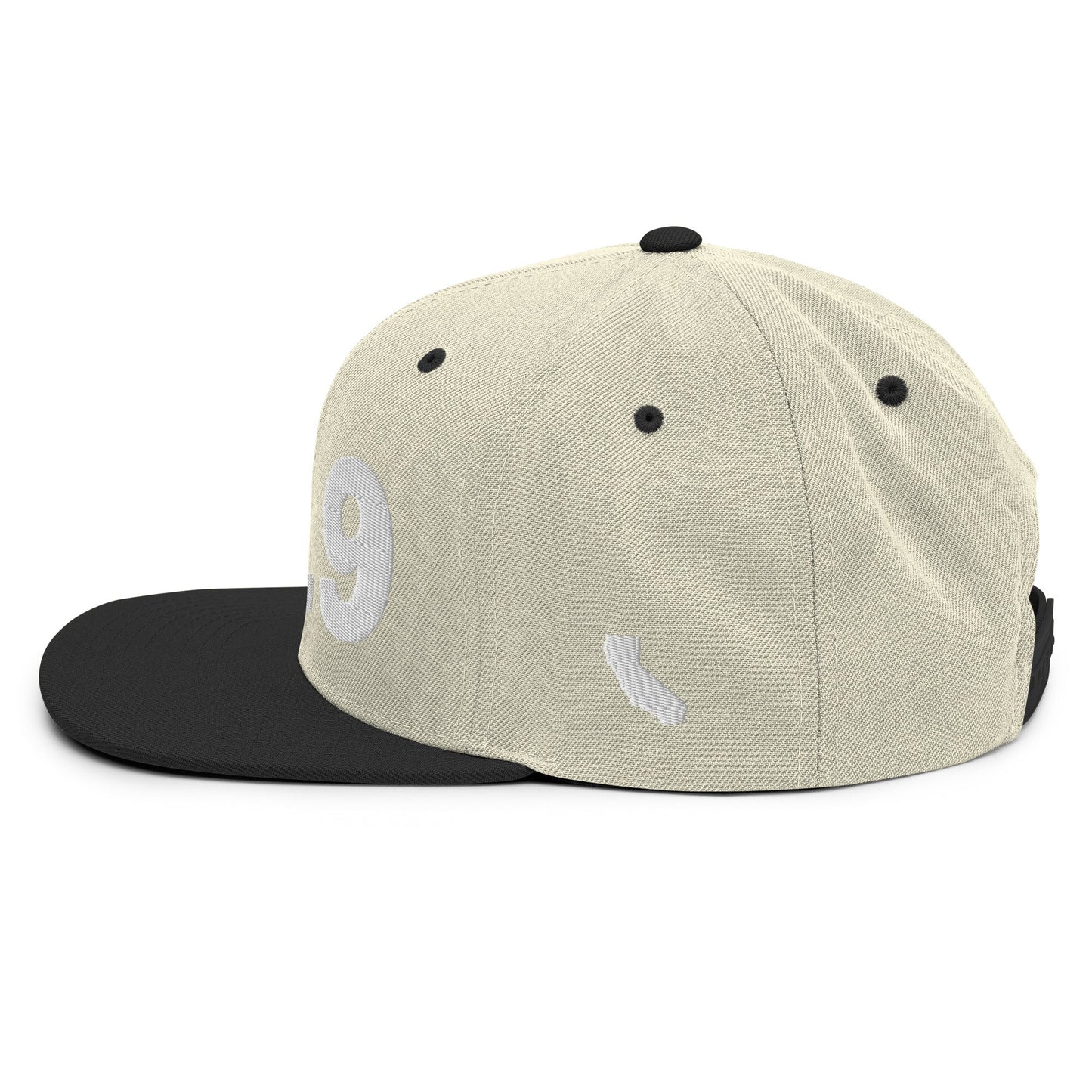 619 Area Code Snapback Hat
