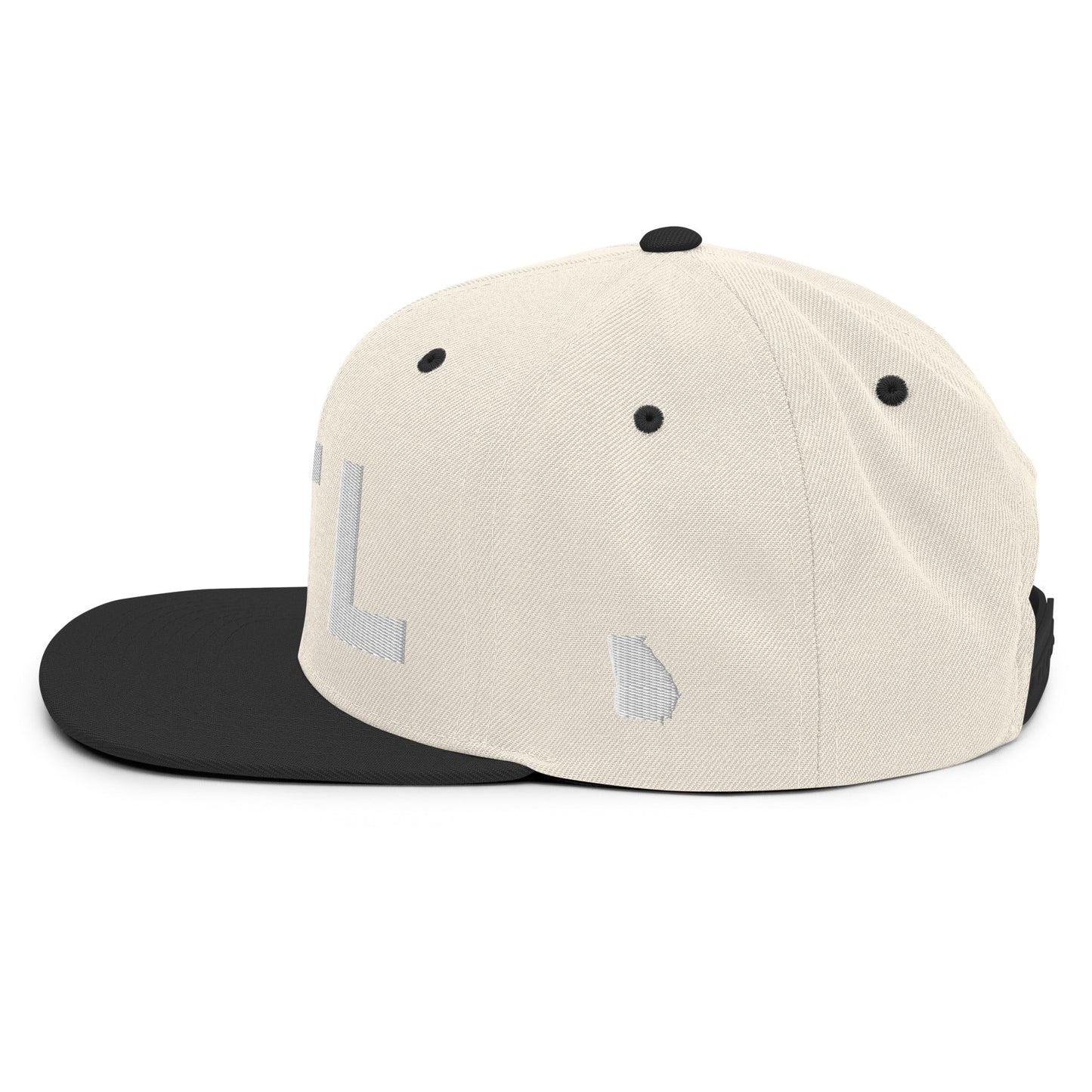ATL Georgia Snapback Hat