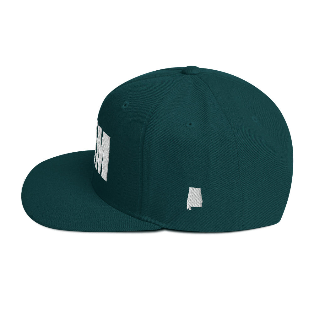 Birmingham Alabama Snapback Hat