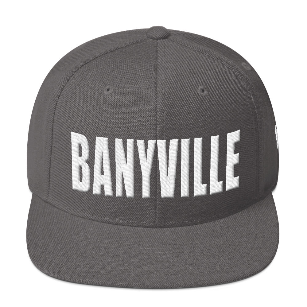 Albany Georgia Snapback Hat