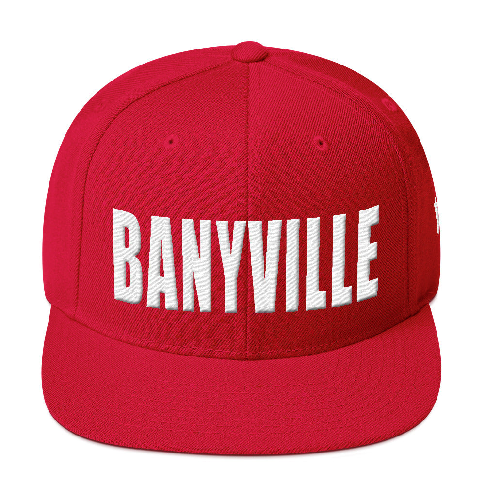 Albany Georgia Snapback Hat
