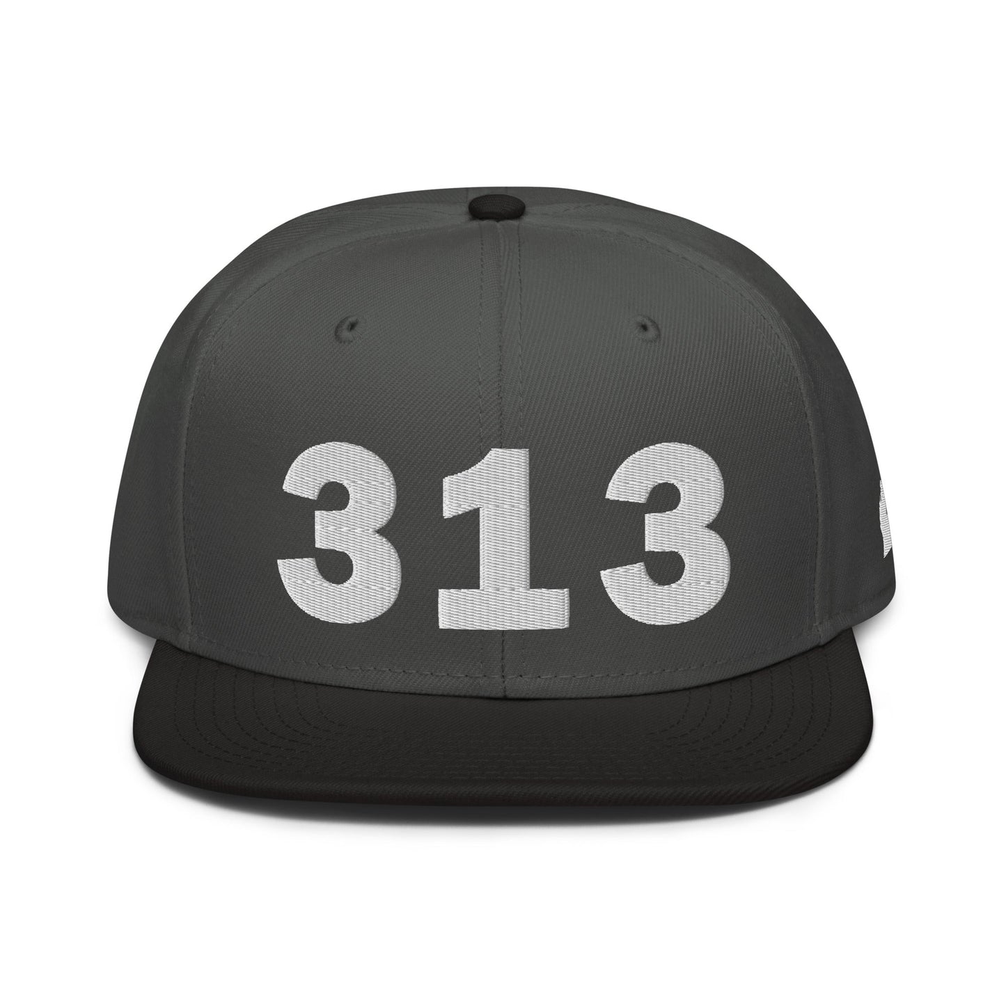 313 Area Code Snapback Hat