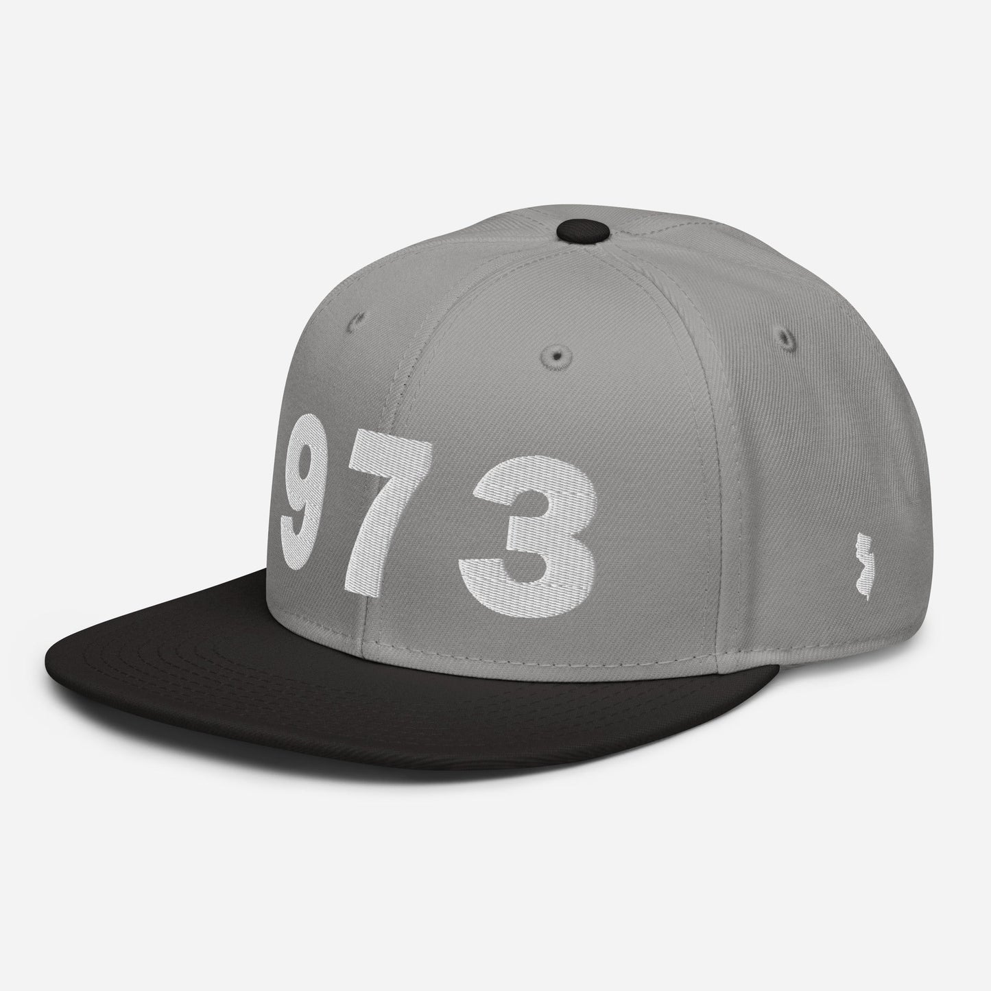 973 Area Code Snapback Hat