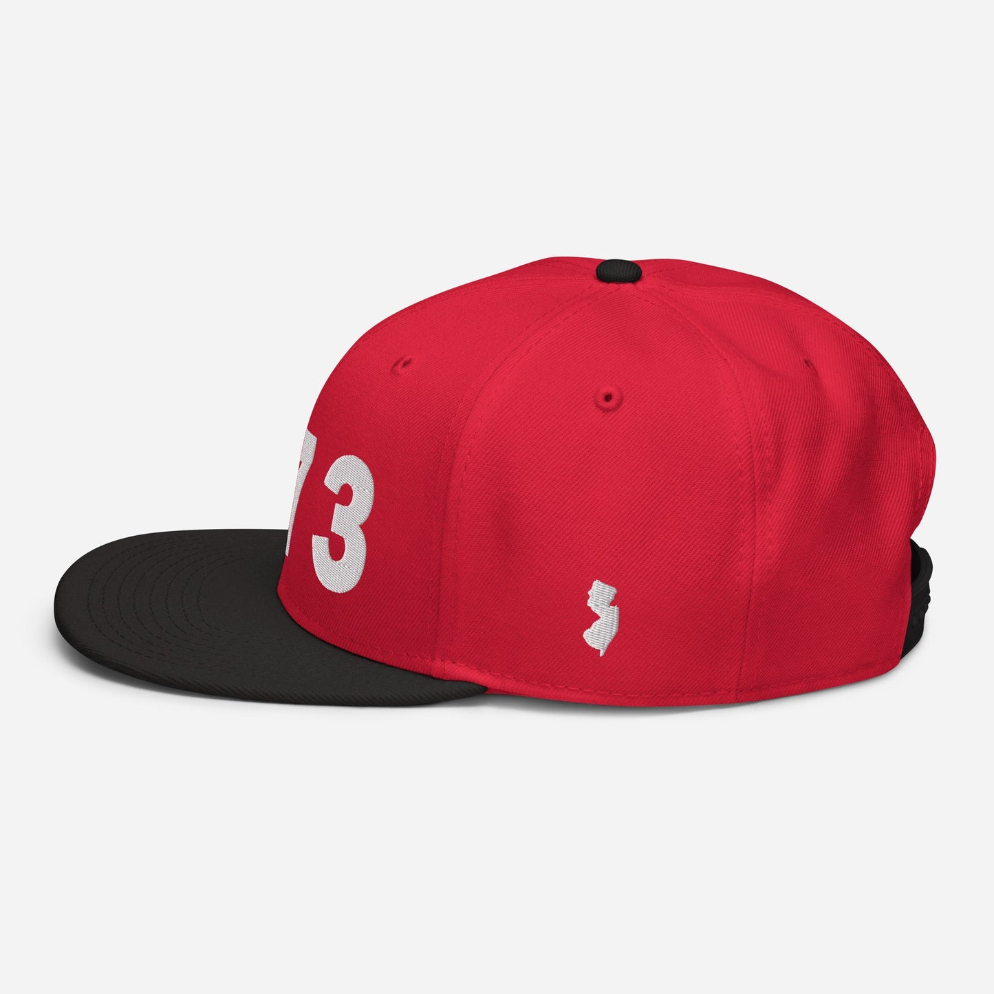 973 Area Code Snapback Hat