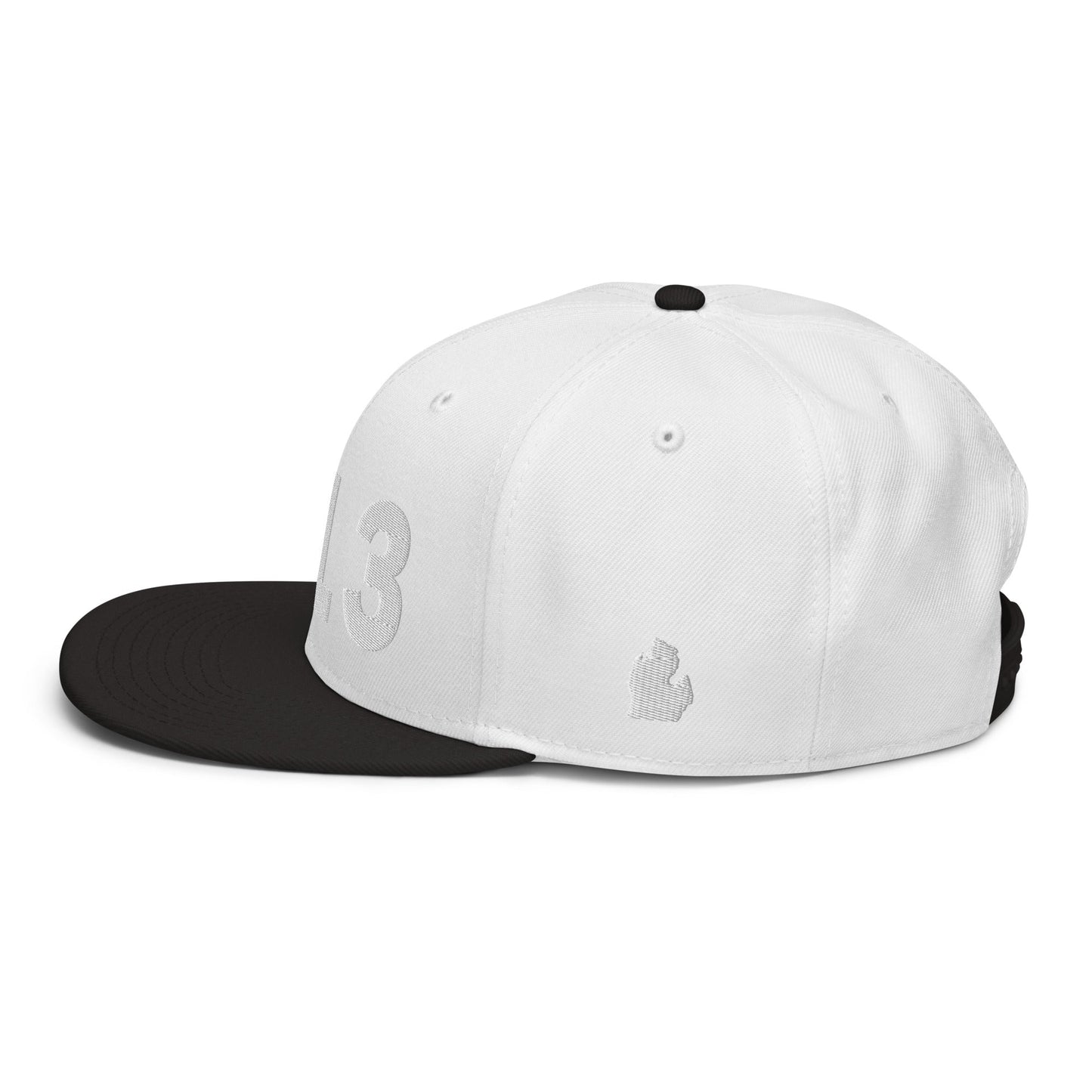 313 Area Code Snapback Hat