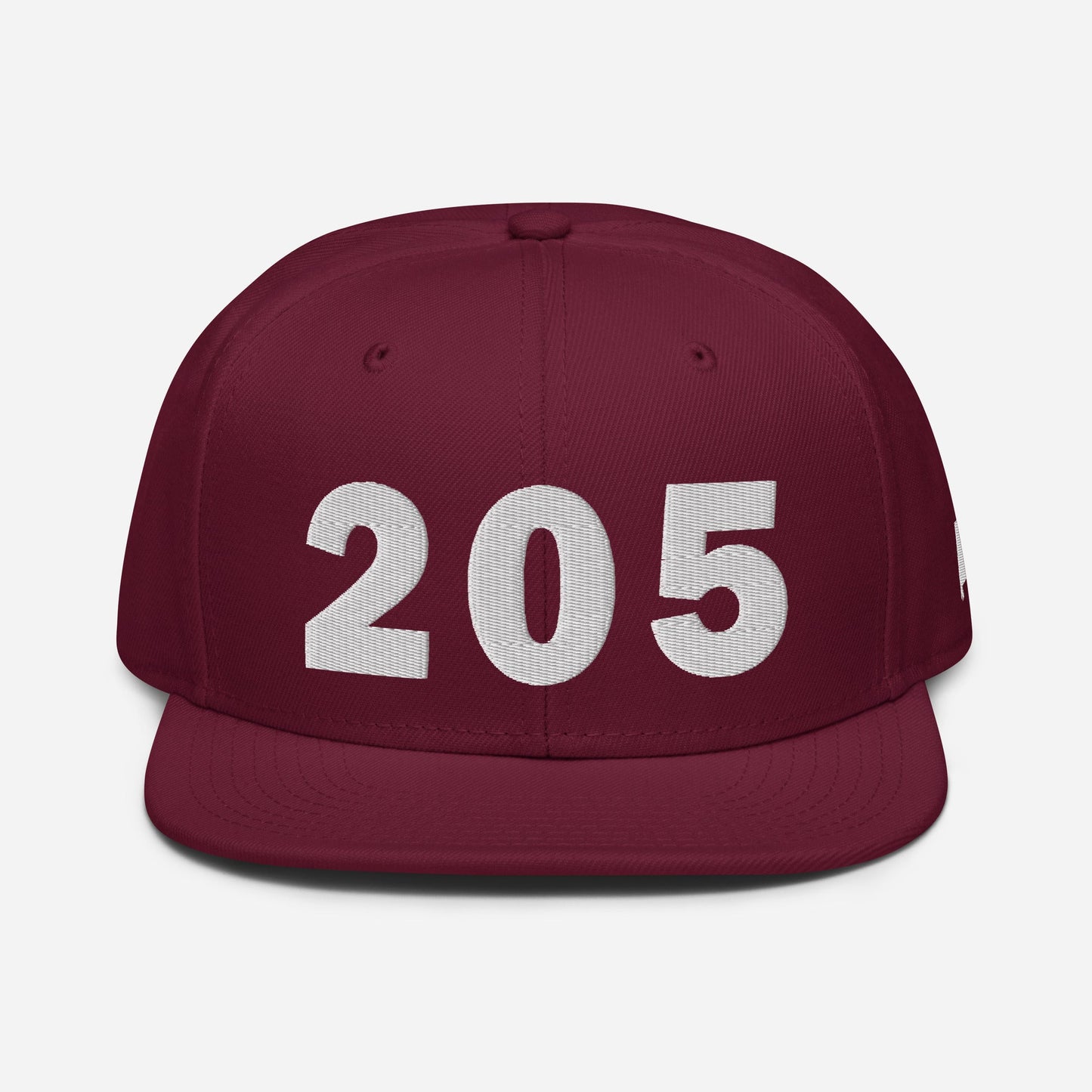 205 Area Code Snapback Hat