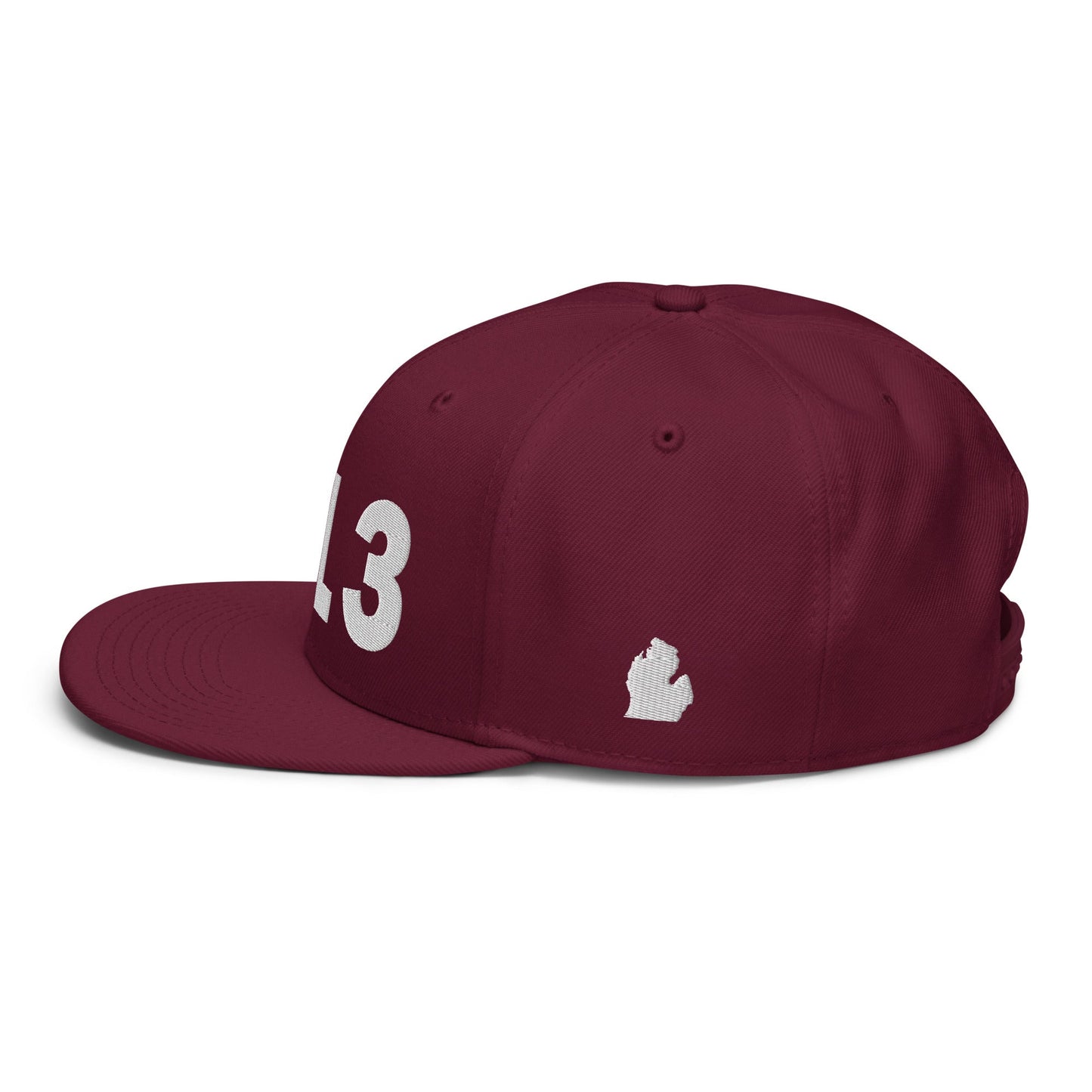 313 Area Code Snapback Hat