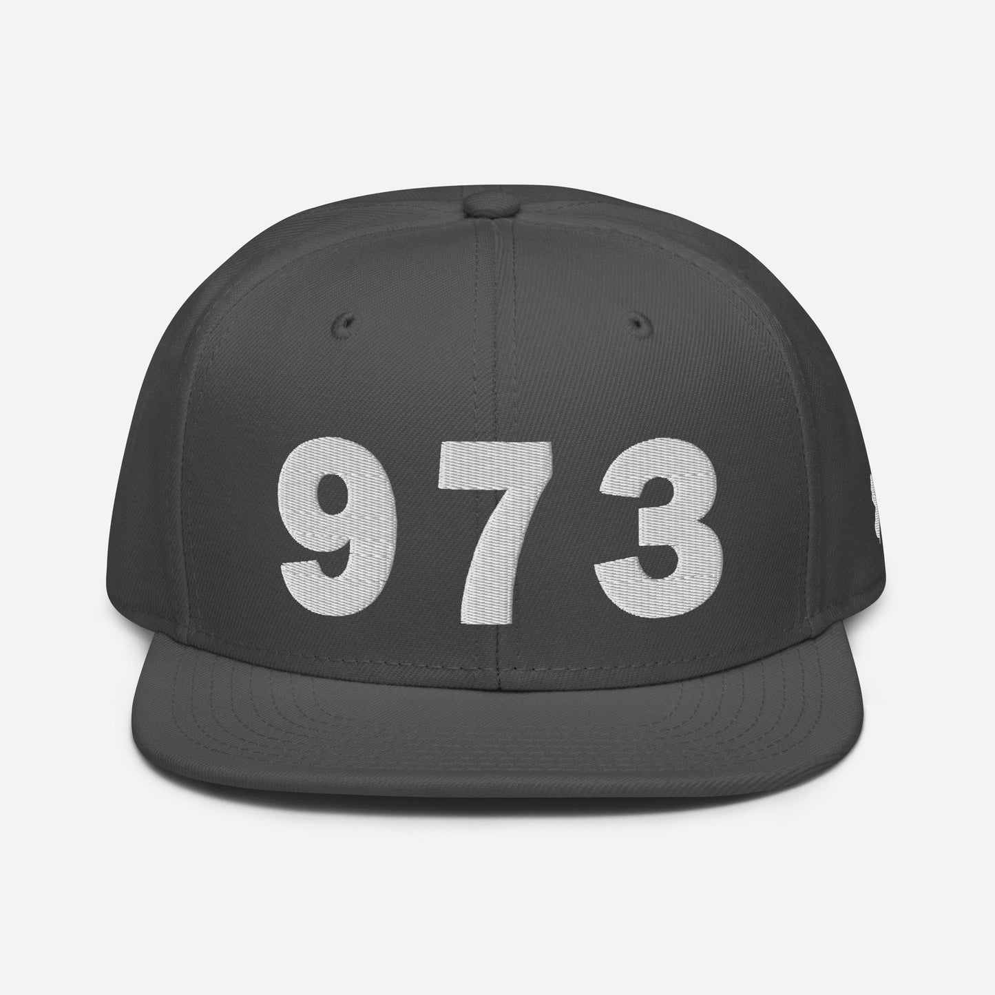 973 Area Code Snapback Hat