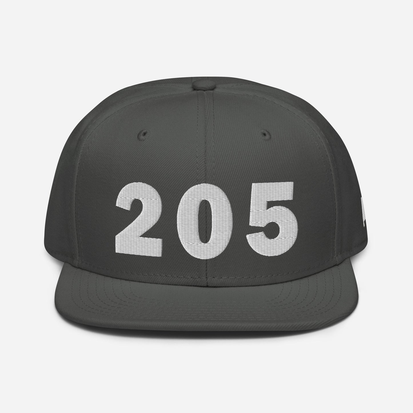 205 Area Code Snapback Hat