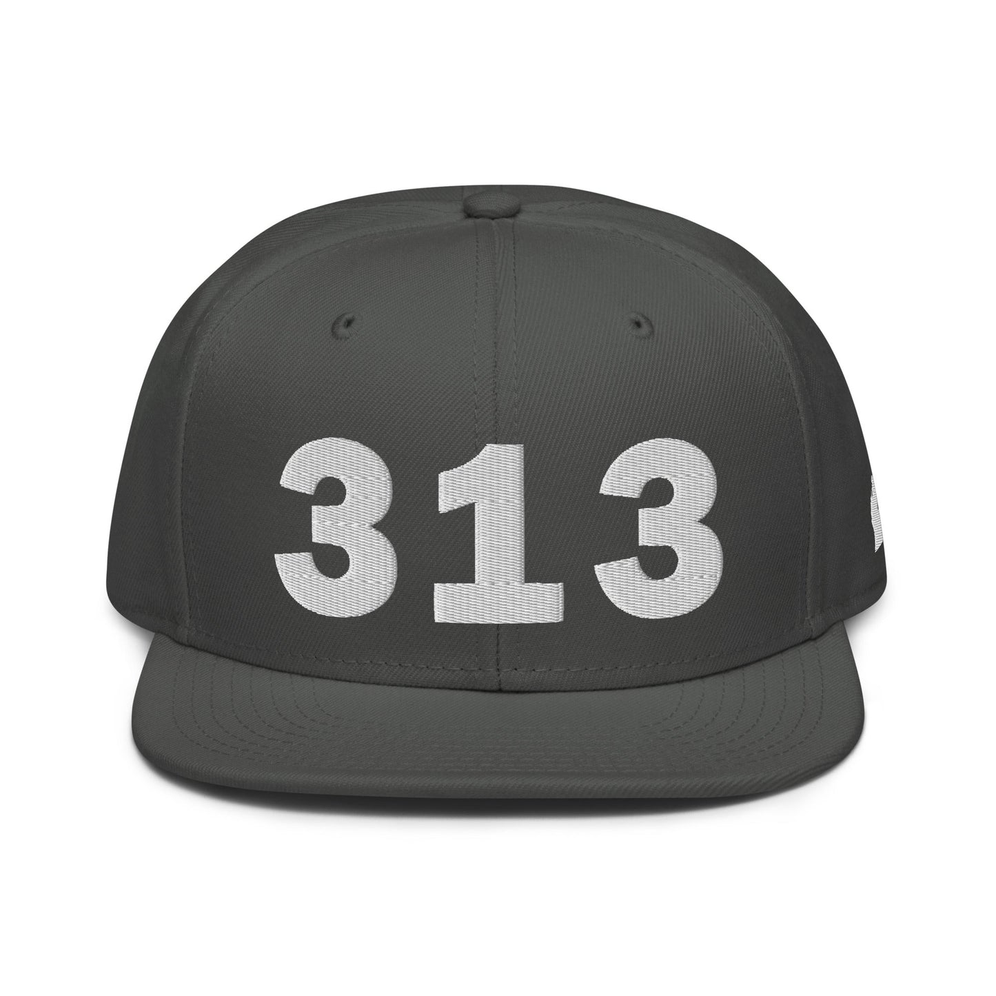 313 Area Code Snapback Hat