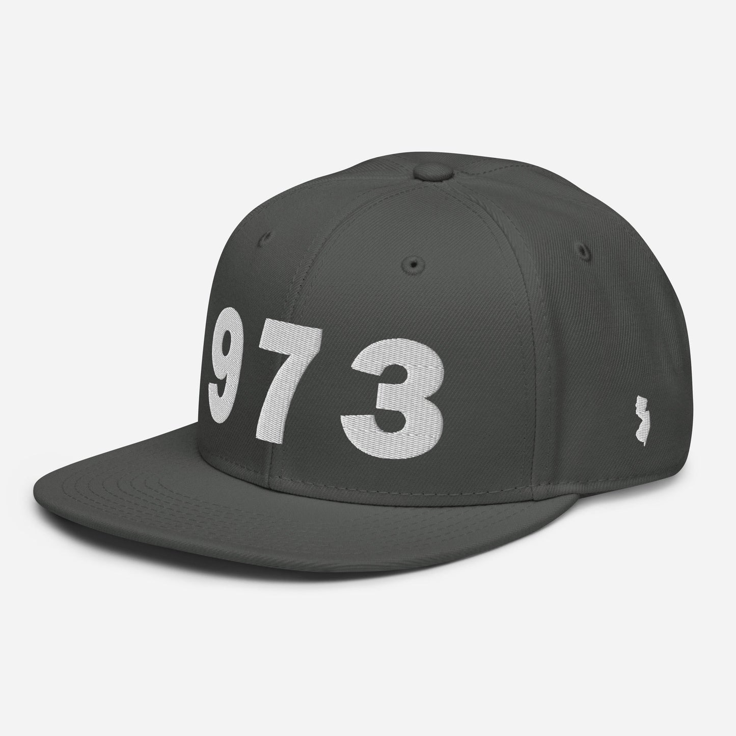 973 Area Code Snapback Hat