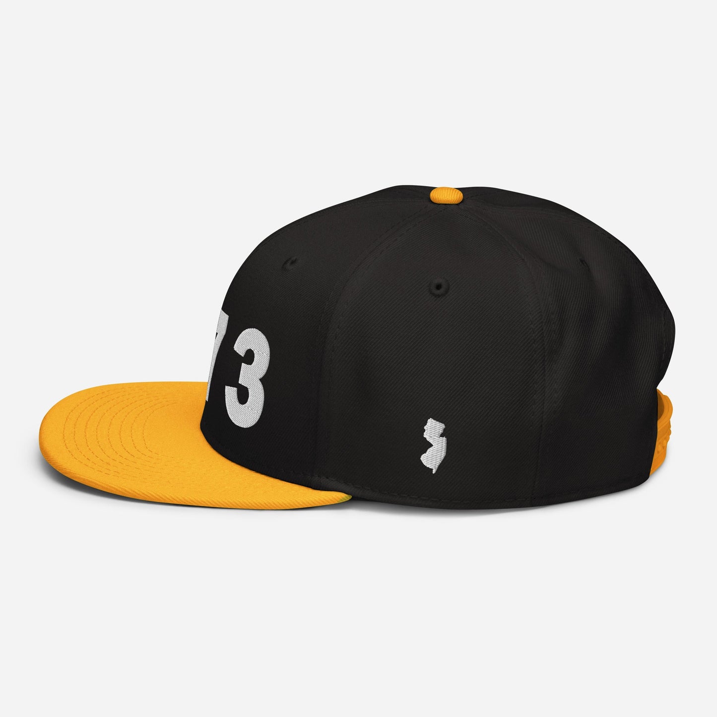 973 Area Code Snapback Hat