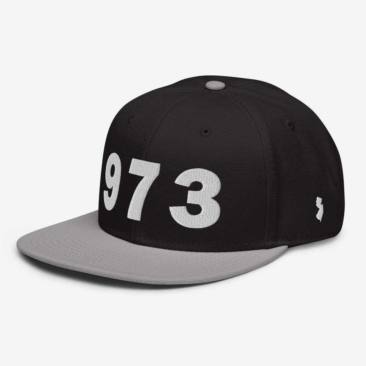 973 Area Code Snapback Hat