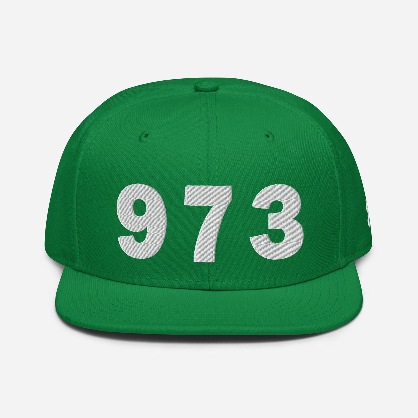 973 Area Code Snapback Hat