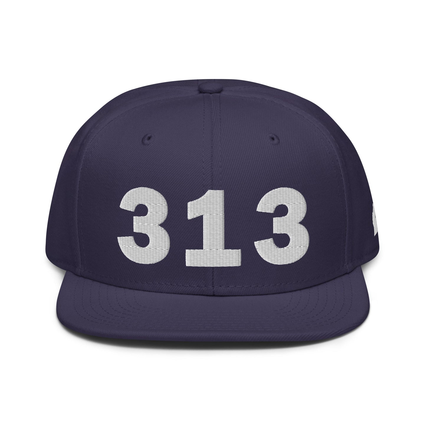 313 Area Code Snapback Hat