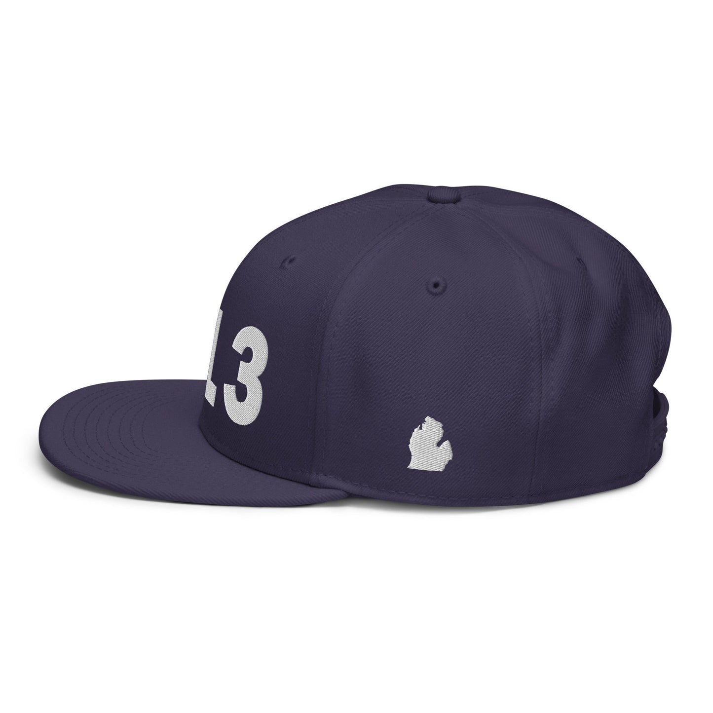 313 Area Code Snapback Hat