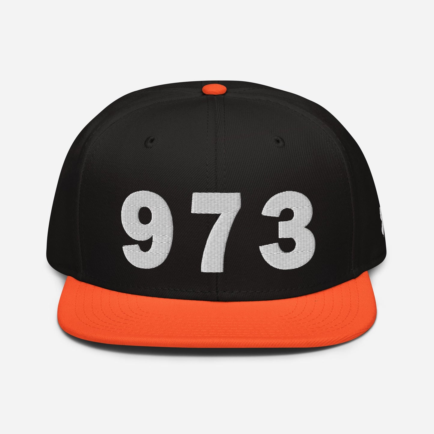 973 Area Code Snapback Hat