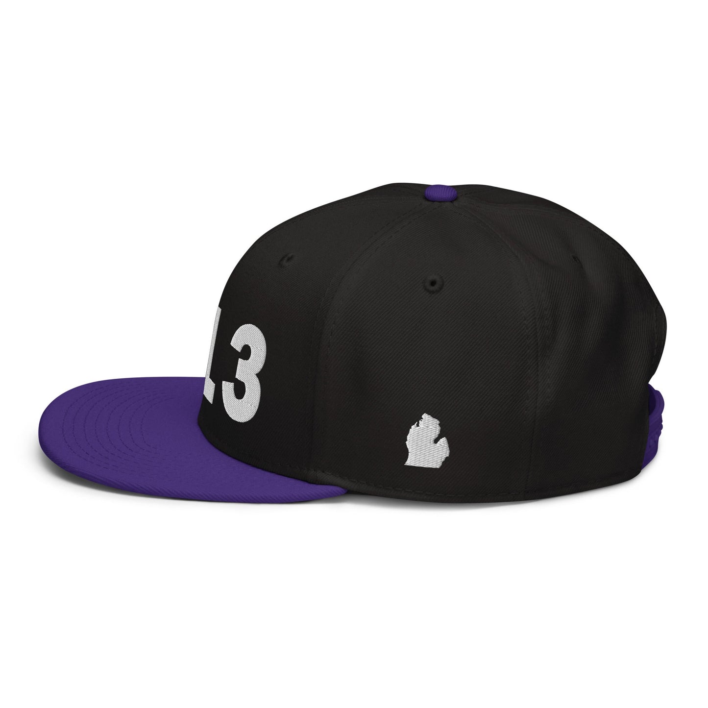 313 Area Code Snapback Hat