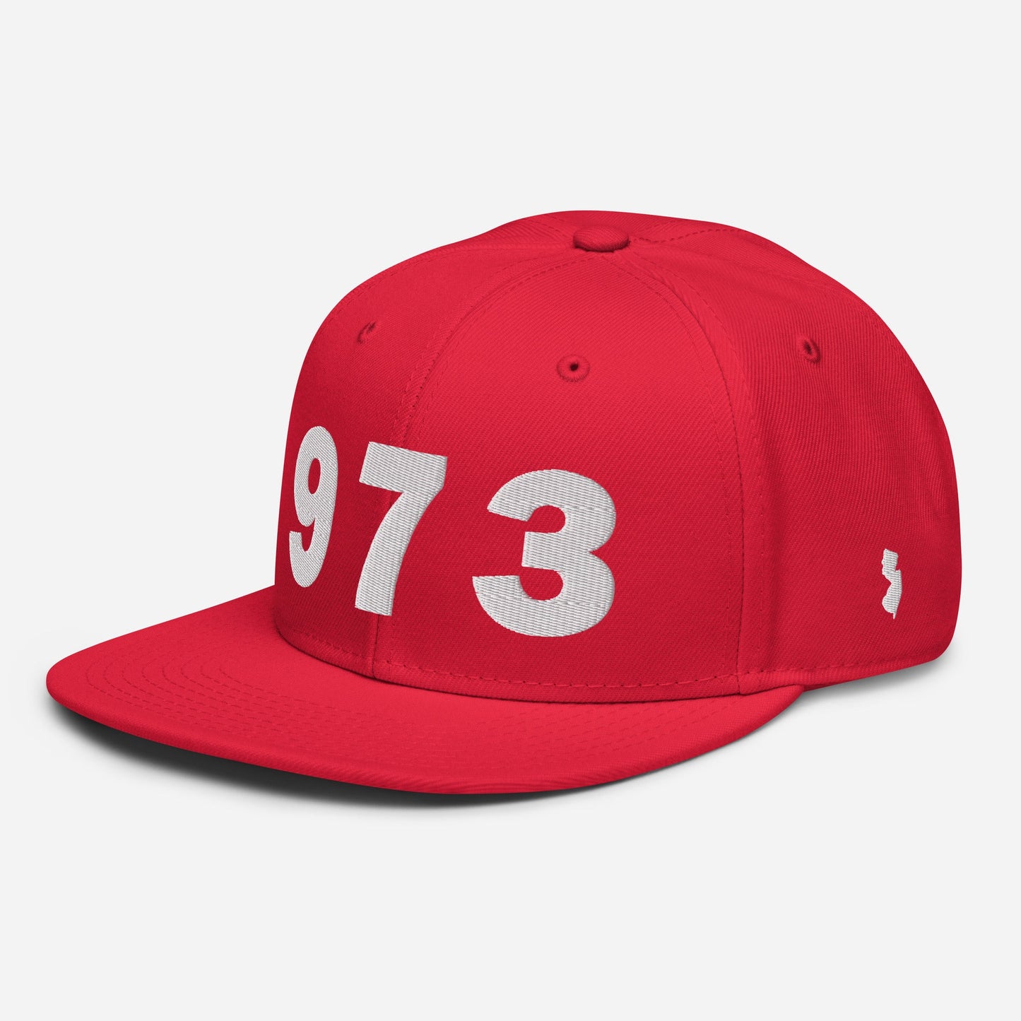 973 Area Code Snapback Hat