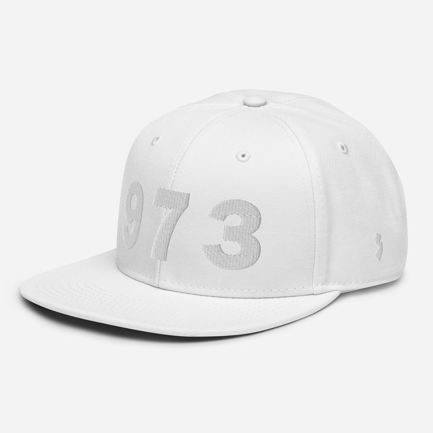 973 Area Code Snapback Hat
